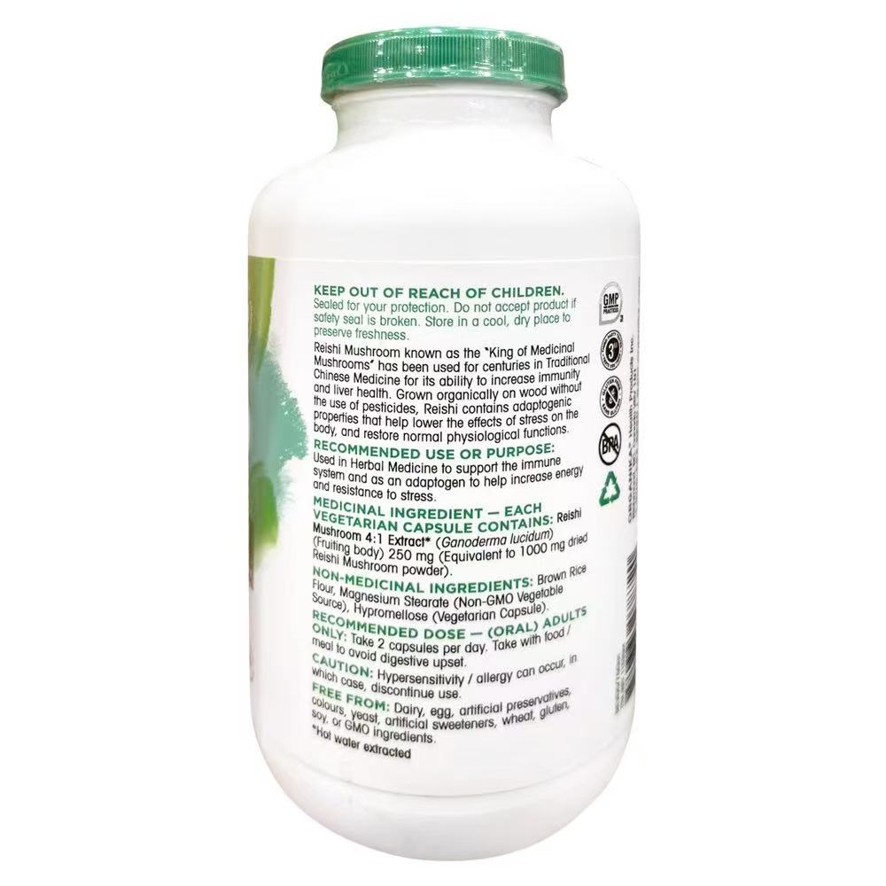Organika Ganoderma Essence Capsules. Ideal gifts for middle-aged and elderly people to boost immunity, extracted from organic wall-broken ganoderma powder.