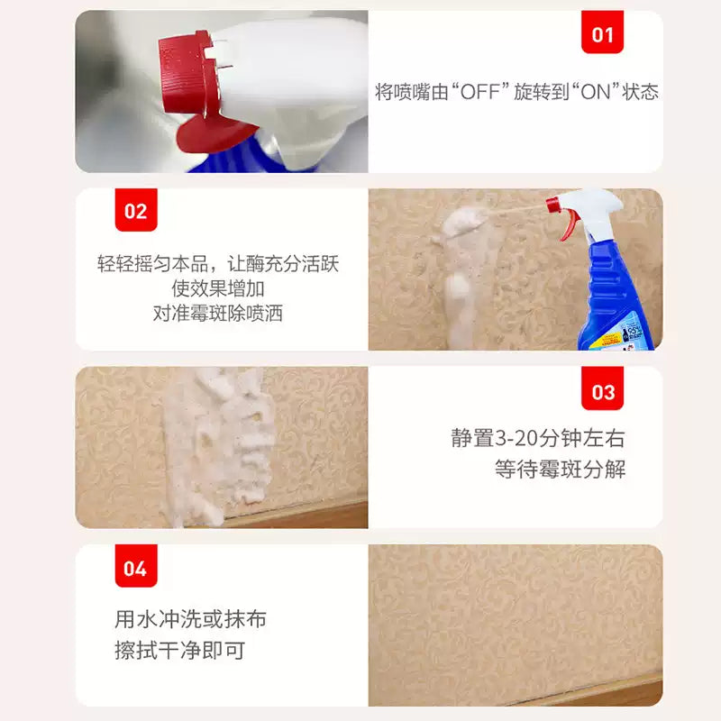 German DM Mold Remover Spray, Household Wall Mildew Stain Cleaner for White Walls
