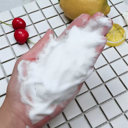 The Face Shop Facial Cleanser, Aloe & Lemon Formula, Mild Hydrating Foam Cleanser, Refreshing Clean for Students
