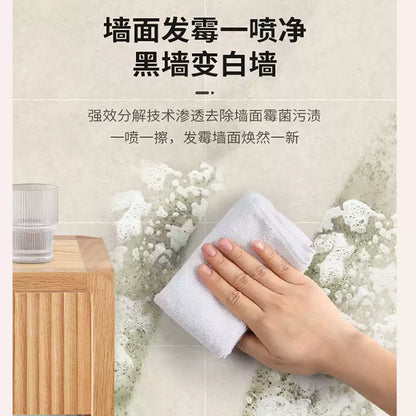 German DM Mold Remover Spray, Household Wall Mildew Stain Cleaner for White Walls