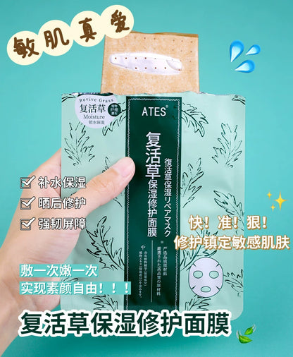 Japanese ATES Reviving Grass Sleeping Mask, Sake Lees Formula, Hydrating Brightening, Pore Minimizing & Firming