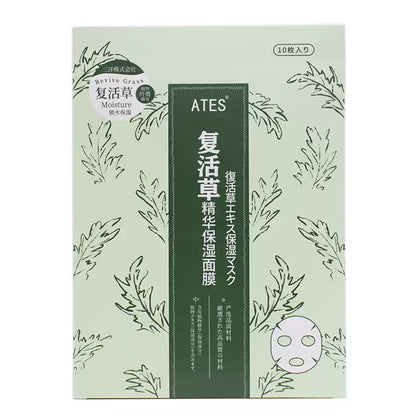 Japanese ATES Reviving Grass Sleeping Mask, Sake Lees Formula, Hydrating Brightening, Pore Minimizing & Firming