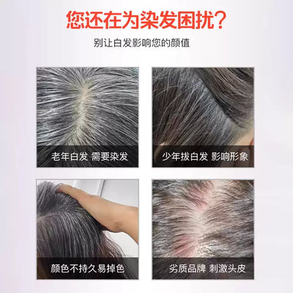 Japanese Bigen Hair Dye Cream, Pure Imported Plant Formula, Fast Cover Gray Hair